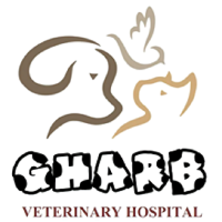 gharbpethospital