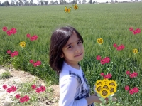 nooralzrt