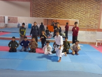 amirmohammadkhari