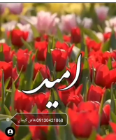 نقاش محبوب استان کرمان سلاجقه امید