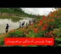 فروش زمینی واقع در گیلان، شهرک زیبای توریستی سیاهدرویشان