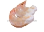 Export Shrimp Packages from Bushehr