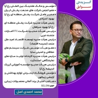 محمد احمدی اصل مدیر ارشد کسب و کار