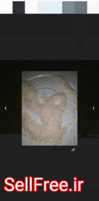 برنج هاشمی درجه ممتاز اصل کشت رشت