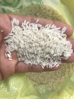 برنج طارم هاشمی فریدونکنار مستقیم از دست کشاورز