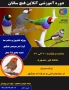 بیمه بازنشستگی پرورش دهندگان پرندگان زینتی