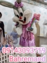 استفاده از تن پوش های عروسکی در مراکز علمی و فرهنگی و هنری 09143093759