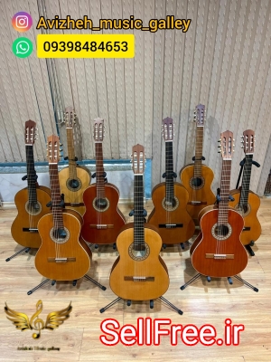 مرکز تخصصی گیتار در کرج فروشگاه موسیقی آویژه