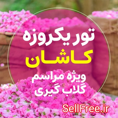 تور کاشان