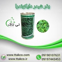 فروش بذر چمن شبدری ( دایکوندرا ) 09197443453