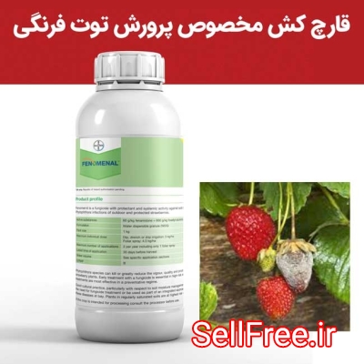 خرید سم قارچ‌کش فنومنال، راهی مطمئن برای محافظت از توت‌فرنگی‌