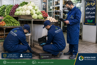 سمپاشی موش در تهران، برای گرفتن موش به کجا زنگ بزنیم؟ شرکت سمپاشی موش