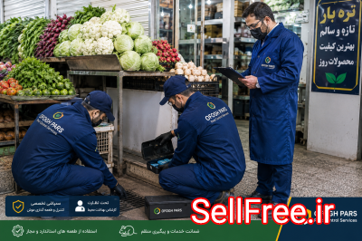 سمپاشی موش در تهران، برای گرفتن موش به کجا زنگ بزنیم؟ شرکت سمپاشی موش