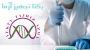 کیت استخراج DNA و RNA یکتا تجهیز آزما 