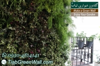 گرین وال (دیوار سبز)