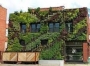 دیوار سبز green wall طبیعی و مصنوعی – روف گاردن - حیاط