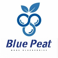 بسترکشت بلوبری بلوپیت BluePeat