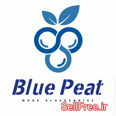 بسترکشت بلوبری بلوپیت BluePeat