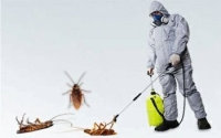 خدمات سمپاشی و کنترل حشرات