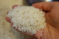 برنج هاشمی گیلان لاهیجان