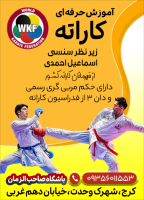 آموزش کاراته در کرج