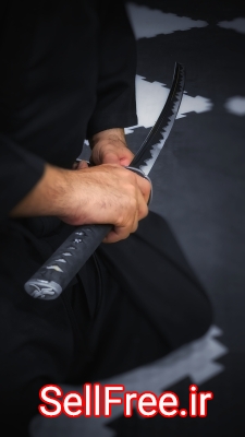آموزش ای آی دو(Iaido) از مبتدی تا حرفه ای