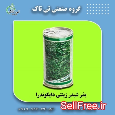 بذر چمن دایکوندرا (شبدر زینتی)- تی تاک 09199762163