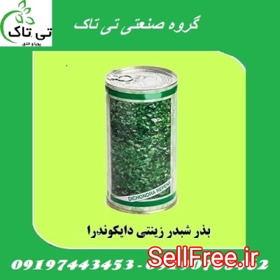 بذر چمن ، بذر چمن دایکوندرا ،شبدر زینتی  - 09190768462